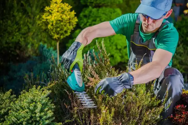 landscaping services Millis-Clicquot